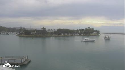 Dana Point Harbor Laguna Cliffs Resort Live Webcam - Sep 27, 2026, 10:31am PDT