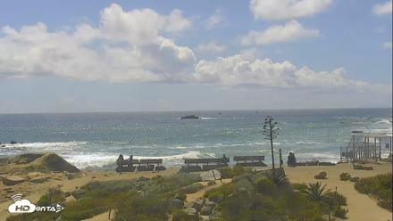 Dana Point Harbor Laguna Cliffs Resort Live Webcam - Apr 13, 2026, 2:26pm PDT
