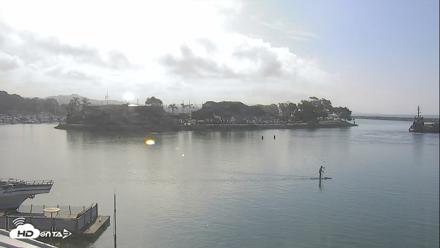 Dana Point Harbor Laguna Cliffs Resort Live Webcam - Aug 12, 2026, 8:52am PDT
