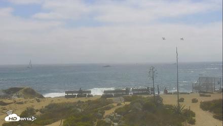 Dana Point Harbor Laguna Cliffs Resort Live Webcam - Jun 17, 2026, 3:20pm PDT