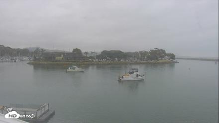 Dana Point Harbor Laguna Cliffs Resort Live Webcam - Jun 1, 2026, 10:07am PDT