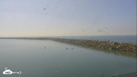 Dana Point Harbor Laguna Cliffs Resort Live Webcam - Sep 23, 2026, 10:36am PDT