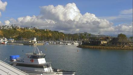 Dana Point Harbor Laguna Cliffs Resort Live Webcam - Jan 5, 2026, 12:53pm PST