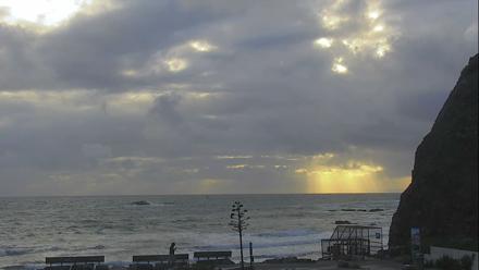 Dana Point Harbor Laguna Cliffs Resort Live Webcam - Feb 19, 2026, 4:52pm PST