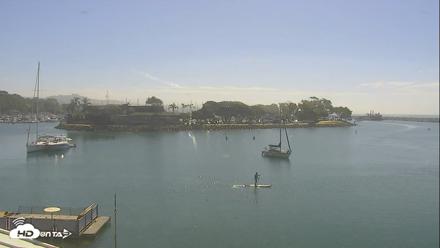 Dana Point Harbor Laguna Cliffs Resort Live Webcam - Aug 23, 2026, 10:07am PDT