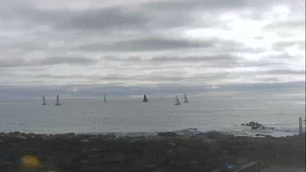 Dana Point Harbor Laguna Cliffs Resort Live Webcam - Nov 6, 2025, 2:17pm PST