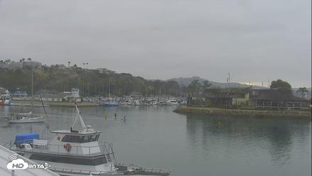 Dana Point Harbor Laguna Cliffs Resort Live Webcam - Jun 23, 2026, 8:18am PDT