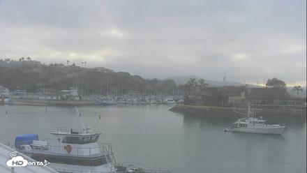 Dana Point Harbor Laguna Cliffs Resort Live Webcam - Jul 31, 2026, 7:15am PDT