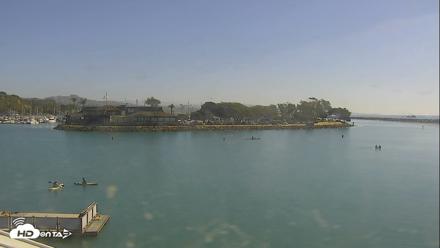 Dana Point Harbor Laguna Cliffs Resort Live Webcam - Oct 19, 2026, 11:08am PDT
