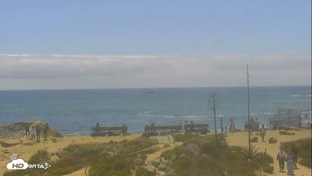 Dana Point Harbor Laguna Cliffs Resort Live Webcam - Jun 18, 2026, 1:57pm PDT