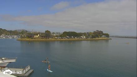 Dana Point Harbor Laguna Cliffs Resort Live Webcam - Jun 17, 2026, 4:07pm PDT