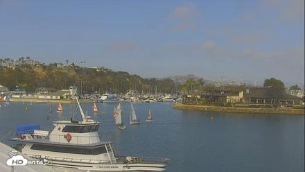 Dana Point Harbor Laguna Cliffs Resort Live Webcam - Jun 24, 2026, 4:42pm PDT