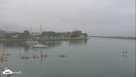 Dana Point Harbor Laguna Cliffs Resort Live Webcam - May 2, 2026, 9:46am PDT