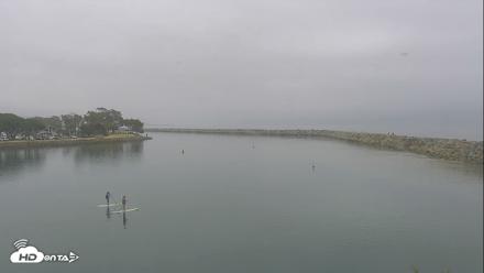 Dana Point Harbor Laguna Cliffs Resort Live Webcam - May 2, 2026, 9:46am PDT