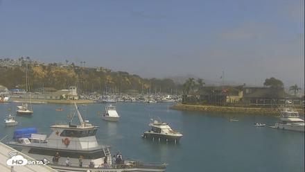 Dana Point Harbor Laguna Cliffs Resort Live Webcam - Jul 25, 2026, 1:44pm PDT