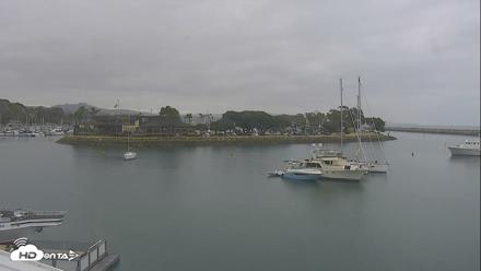 Dana Point Harbor Laguna Cliffs Resort Live Webcam - May 22, 2026, 8:35am PDT