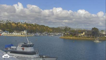 Dana Point Harbor Laguna Cliffs Resort Live Webcam - May 27, 2026, 4:35pm PDT