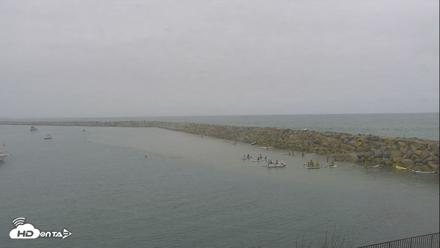 Dana Point Harbor Laguna Cliffs Resort Live Webcam - Jul 10, 2026, 12:00pm PDT
