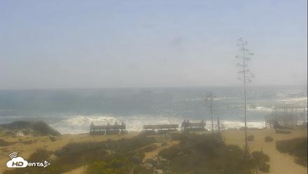 Dana Point Harbor Laguna Cliffs Resort Live Webcam - Aug 1, 2026, 3:46pm PDT