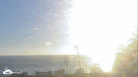 Dana Point Harbor Laguna Cliffs Resort Live Webcam - Oct 8, 2026, 5:38pm PDT