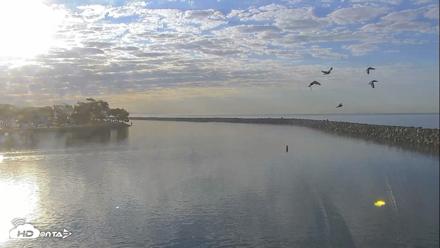 Dana Point Harbor Laguna Cliffs Resort Live Webcam - Oct 6, 2026, 7:58am PDT