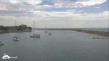 Dana Point Harbor Laguna Cliffs Resort Live Webcam - Oct 17, 2026, 11:47am PDT