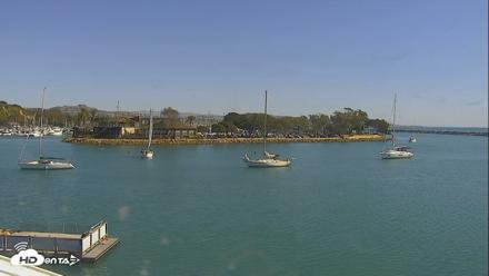 Dana Point Harbor Laguna Cliffs Resort Live Webcam - Oct 15, 2026, 1:05pm PDT