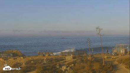 Dana Point Harbor Laguna Cliffs Resort Live Webcam - Oct 7, 2026, 7:44am PDT