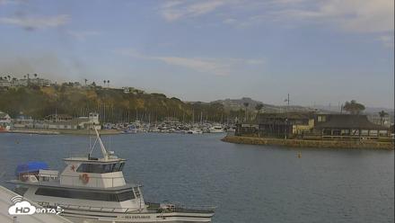 Dana Point Harbor Laguna Cliffs Resort Live Webcam - Oct 16, 2026, 3:13pm PDT
