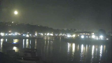 Dana Point Harbor Laguna Cliffs Resort Live Webcam - Nov 7, 2025, 7:32pm PST