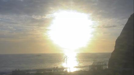 Dana Point Harbor Laguna Cliffs Resort Live Webcam - Feb 5, 2026, 4:52pm PST