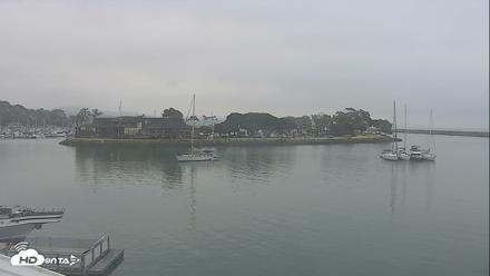 Dana Point Harbor Laguna Cliffs Resort Live Webcam - Jun 13, 2026, 6:26am PDT