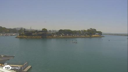 Dana Point Harbor Laguna Cliffs Resort Live Webcam - Jun 22, 2026, 11:17am PDT