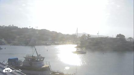 Dana Point Harbor Laguna Cliffs Resort Live Webcam - Jul 14, 2026, 7:42am PDT