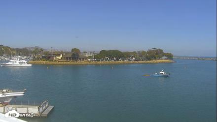 Dana Point Harbor Laguna Cliffs Resort Live Webcam - Jun 25, 2026, 4:00pm PDT
