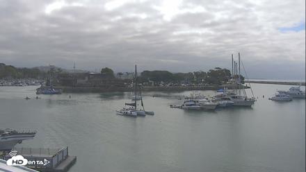Dana Point Harbor Laguna Cliffs Resort Live Webcam - May 25, 2026, 9:20am PDT