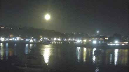 Dana Point Harbor Laguna Cliffs Resort Live Webcam - Oct 8, 2025, 8:04pm PDT