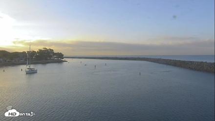 Dana Point Harbor Laguna Cliffs Resort Live Webcam - Sep 3, 2026, 7:04am PDT