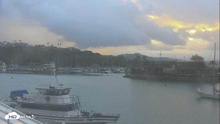 Dana Point Harbor Laguna Cliffs Resort Live Webcam - Oct 12, 2026, 7:05am PDT