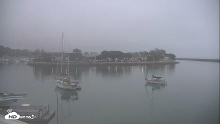 Dana Point Harbor Laguna Cliffs Resort Live Webcam - Aug 25, 2026, 6:20am PDT