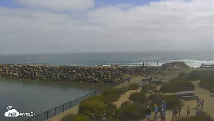 Dana Point Harbor Laguna Cliffs Resort Live Webcam - Jun 17, 2026, 3:48pm PDT