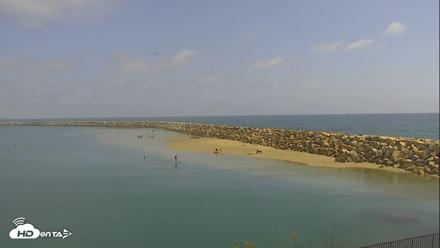 Dana Point Harbor Laguna Cliffs Resort Live Webcam - Apr 30, 2026, 2:40pm PDT