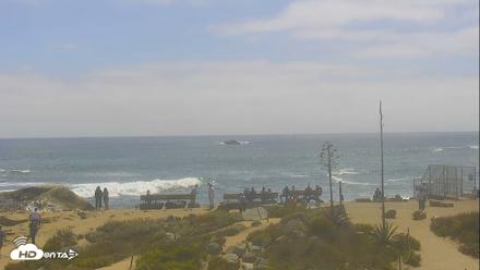 Dana Point Harbor Laguna Cliffs Resort Live Webcam - Jun 17, 2026, 2:55pm PDT