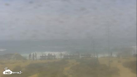 Dana Point Harbor Laguna Cliffs Resort Live Webcam - Jul 25, 2026, 1:48pm PDT