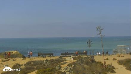 Dana Point Harbor Laguna Cliffs Resort Live Webcam - Sep 25, 2026, 11:05am PDT