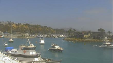 Dana Point Harbor Laguna Cliffs Resort Live Webcam - Jul 25, 2026, 1:43pm PDT
