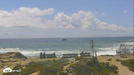 Dana Point Harbor Laguna Cliffs Resort Live Webcam - Apr 13, 2026, 2:17pm PDT