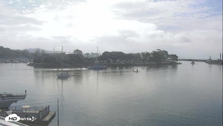 Dana Point Harbor Laguna Cliffs Resort Live Webcam - Aug 7, 2026, 8:53am PDT