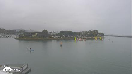 Dana Point Harbor Laguna Cliffs Resort Live Webcam - Jun 17, 2026, 10:10am PDT