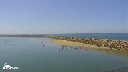 Dana Point Harbor Laguna Cliffs Resort Live Webcam - May 6, 2026, 10:36am PDT